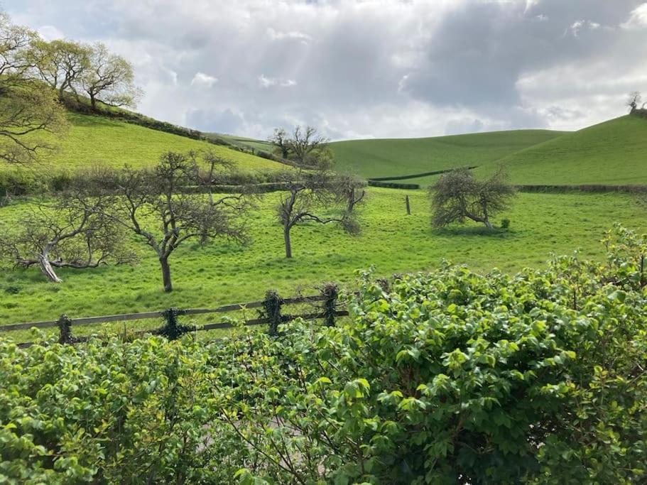 Charming Countryside Cottage Ground Floor Apartment In Combeinteignhead Devon Bishopsteignton Zewnętrze zdjęcie
