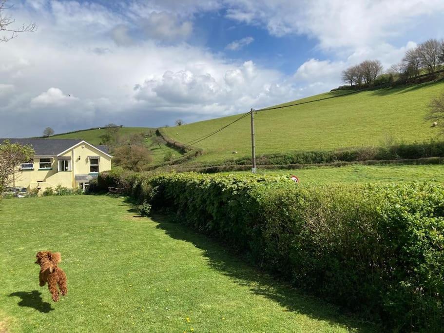 Charming Countryside Cottage Ground Floor Apartment In Combeinteignhead Devon Bishopsteignton Zewnętrze zdjęcie